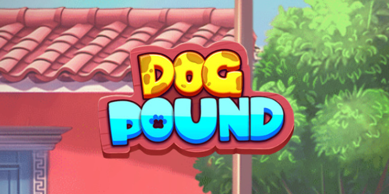 Dog Pound слот: где начать игру