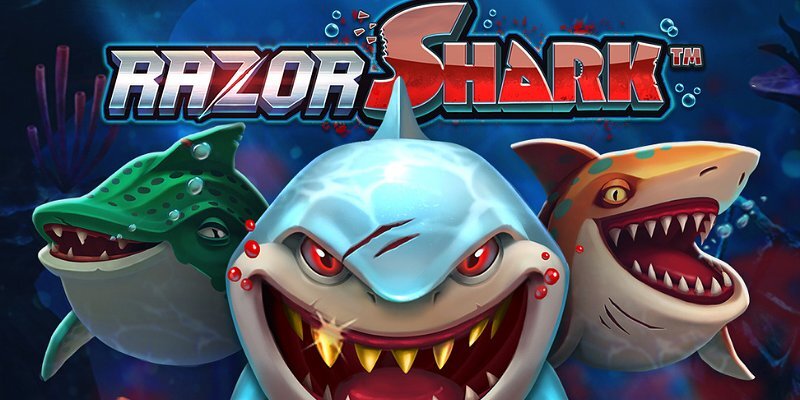 Слот Razor Shark: Где играть и подробный обзор